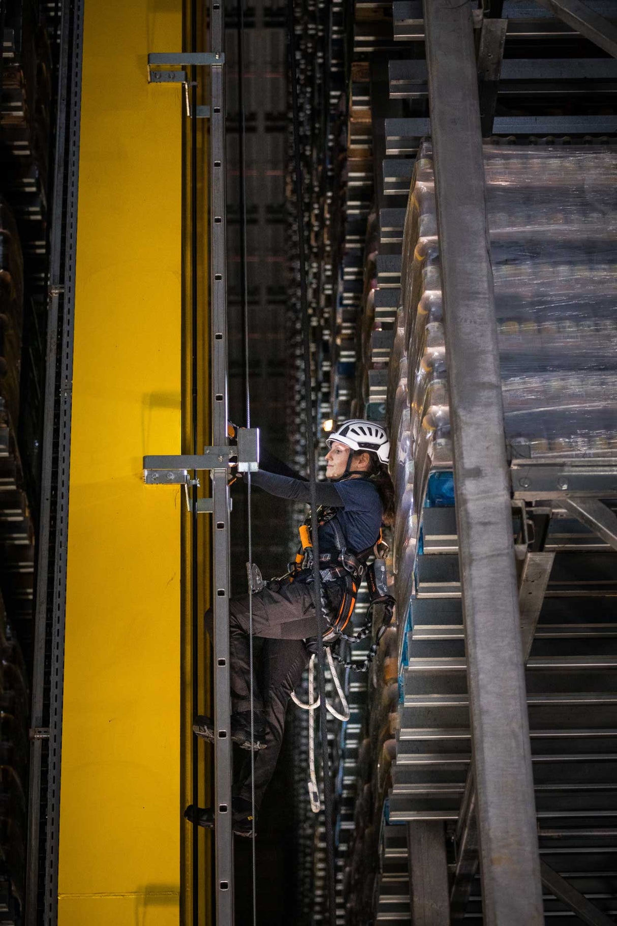 CLAW - Stahlseilläufer