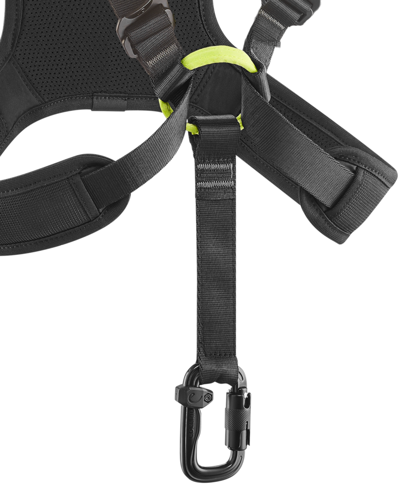 Vector Chest X - Brustgurt