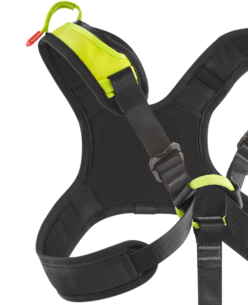 Vector Chest X - Brustgurt