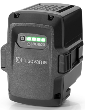 BLi200 - Ersatzakku für ICX