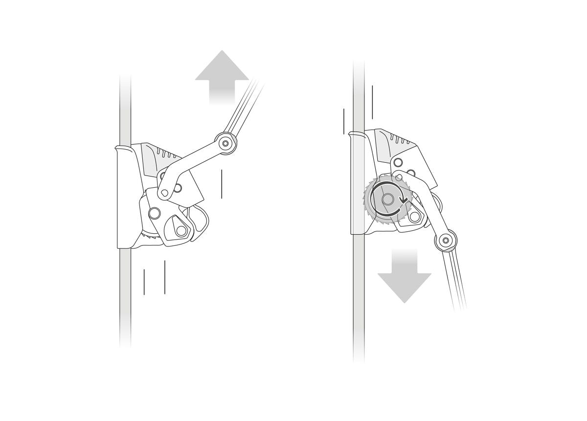 NEW 2026 - ASAP LOCK - mitlaufendes Auffanggerät