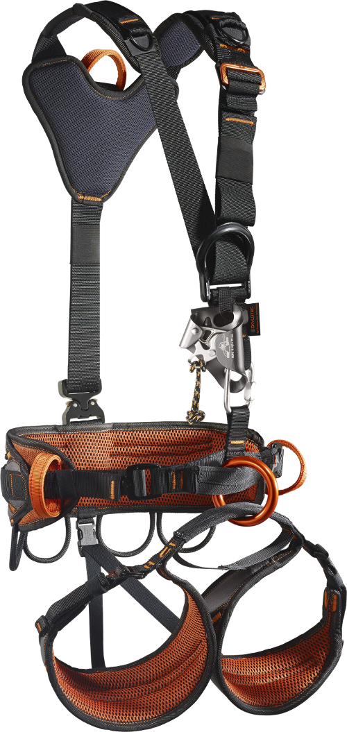 dient nur als Beispiel 