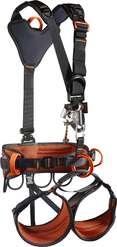 dient nur als Beispiel 