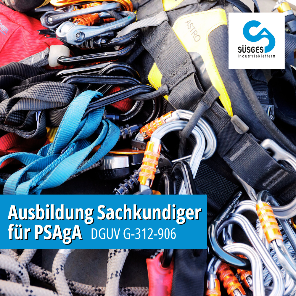 Sachkundiger für PSA gegen Absturz - DGUV G-312-906